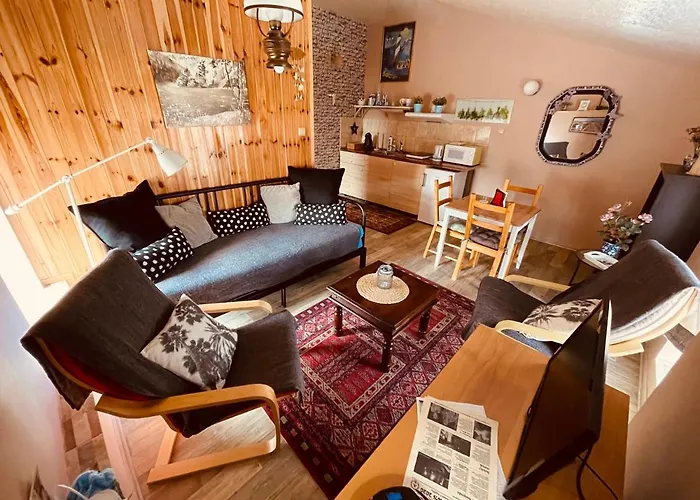 U Kaplicky Apartment