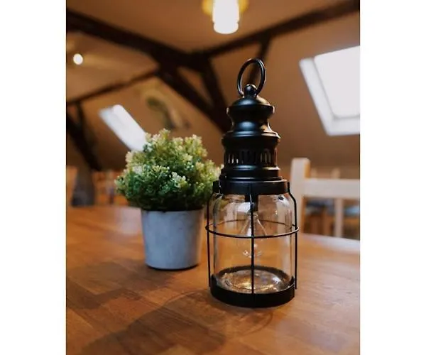 U Kaplicky Apartment *