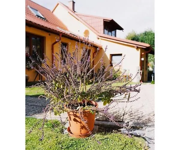 U Kaplicky Kamyk nad Vltavou